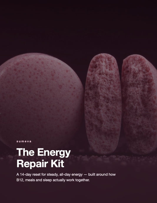 The Energy Repair Kit guide cover